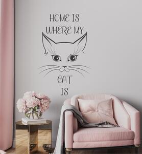Home is where my cat is