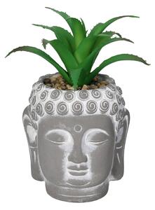 Decorațiune Aloe Buddha17cm
