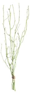 Ramură de alun 50cm dark green