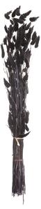 Buchet 60cm black