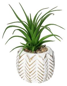Decorațiuni cu aloe II 14cm