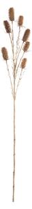 Ciulin ornamental 110cm beige