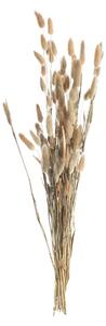Buchet 60cm beige