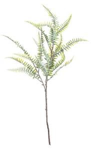 Ramura ferigii 60cm