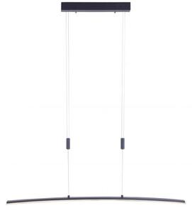 Paul Neuhaus Janina lampă suspendată 1x27 W gri-antracit 2530-13