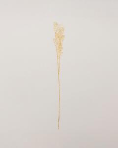 Ramură Frostbloom 80 cm