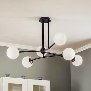 EMIBIG LIGHTING Plafonieră Major, negru, 6 becuri, reglabil, Negru, Camera de zi / sufragerie, Sticlă, Modern