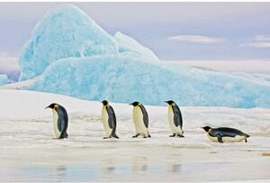 Pictura pinguini 120 x 80 cm, multicolor