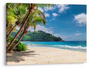 Tablou - Caraibe (70x50 cm)