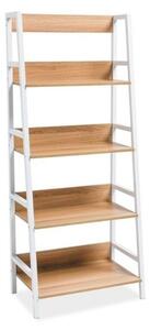 Raft Olsen, stejar