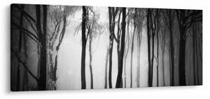 Tablou - Lup în pădurea întunecată (120x50 cm)