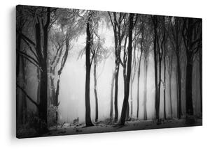 Tablou - Lup în pădurea întunecată (90x60 cm)