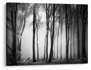 Tablou - Lup în pădurea întunecată (70x50 cm)