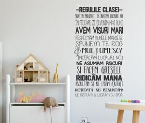 Regulile clasei noastre