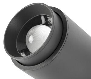 FARO BARCELONA Proiector LED perete exterior Plom, gri închis, Negru, Metal, Modern