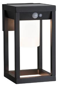 Lampă de Exterior Paulmann, Marisol, Negru, Plastic