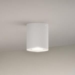 Philips Hue White Ambiance Pillar LED downlight, alb, reglabil, Alb, Camera de zi / sufragerie, Metal, Modern