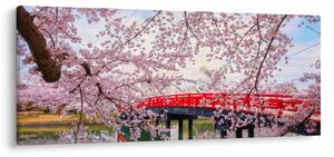 Tablou - Hirosaki, Japonia (120x50 cm)