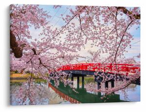 Tablou - Hirosaki, Japonia (70x50 cm)
