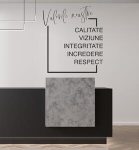 Sticker decorativ pentru birou - Valorile noastre