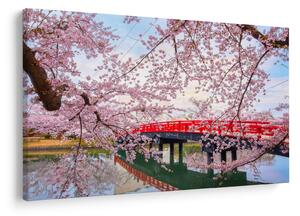 Tablou - Hirosaki, Japonia (90x60 cm)