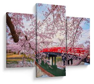 Tablou - Hirosaki, Japonia (90x60 cm)