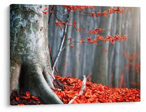Tablou - Toamna (70x50 cm)