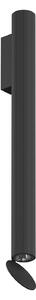 Flos Architectural FLOS Flauta Riga 2 lampă de perete pentru exterior, 2.700K negru, reglabil, Negru, Metal, Design