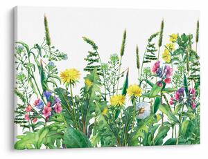 Tablou - Flori de pajiște pictate (70x50 cm)