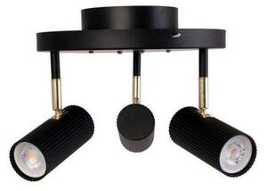 Plafoniere Globen Lighting, Negru, Metal