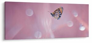 Tablou - Fluturele (120x50 cm)