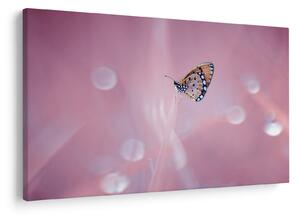 Tablou - Fluturele (90x60 cm)