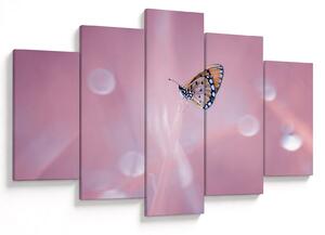 Tablou - Fluturele (150x105 cm)