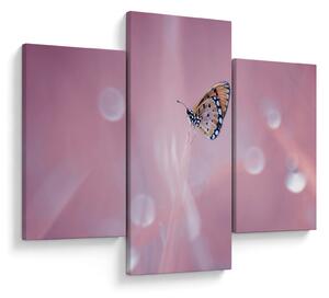 Tablou - Fluturele (90x60 cm)