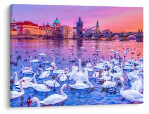 Tablou - Praga (70x50 cm)