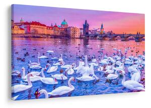 Tablou - Praga (90x60 cm)