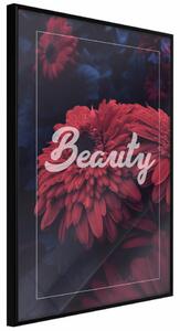 Poster - Beauty [Poster]