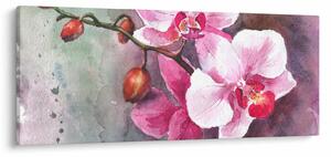 Tablou - Orhidee, acvariu (120x50 cm)