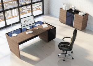Set mobilier birou Trevix 5, stejar charleston / negru