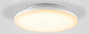 EVN Catino Plafonieră cu LED, senzor, 25 cm, reglabil, Alb, Baie, Plastic, Modern