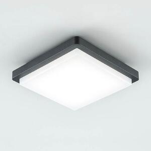 EVN Plafonieră LED pentru exterior Tectum, 23x23 cm, antracit, 150°, Negru, Metal, Modern