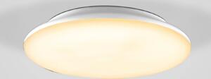 EVN Catino LED plafonieră cu LED, CCT, 30 cm, reglabil, Alb, Baie, Plastic, Modern