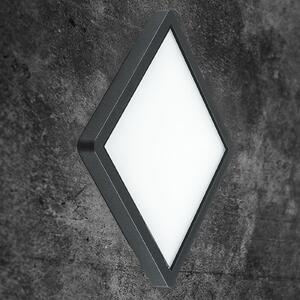 EVN Tectum plafonieră LED exterior, cu sticlă, Negru, Metal, Modern