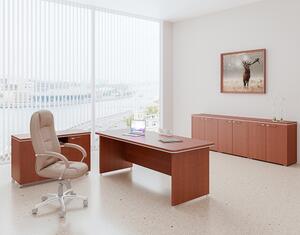 Set mobilier de birou TopOffice 4, lemn de plutire