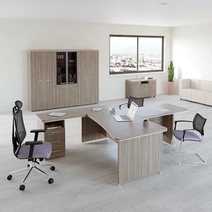 Set mobilier de birou TopOffice 1, lemn de plutire