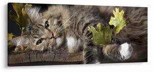 Tablou - Pisica mincinoasă (120x50 cm)