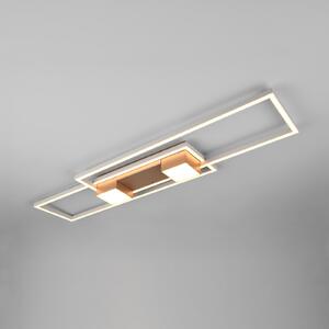 Trio Lighting Albany plafonieră LED, maro, 100 x 28 cm, aluminiu, CCT dimabil, reglabil, Maro / Rugină, Camera de zi / sufragerie, Aluminiu, Modern, Plafon cu flacără multiplă