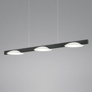 Helestra Pole lampă suspendată LED 3 becuri negru, reglabil, Negru, Camera de zi / sufragerie, Metal, Modern