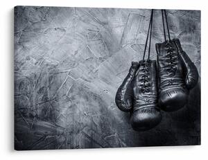 Tablou - Mănuși de box (70x50 cm)