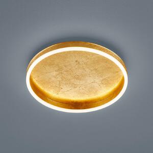Helestra Sona plafonieră LED dimabilă Ø40cm auriu, reglabil, Auriu / Alamă, Hol, Metal, Modern